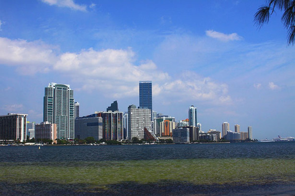 Scene from South Florida